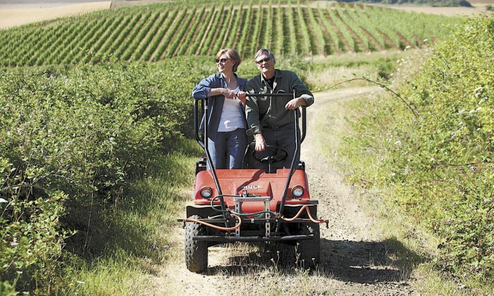 Ellen and Robert Brittan survey their 23-acre estate vineyard on the 128-acre property they own in the McMinnville AVA.##Photo provided.