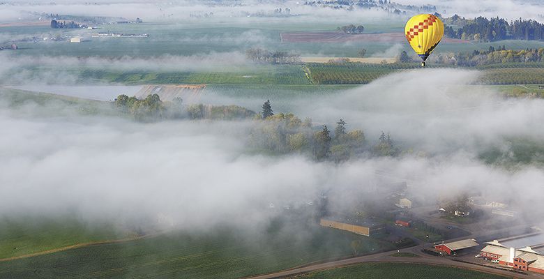 Fog lies low across the farmland.##Photo by Bryan Rupp