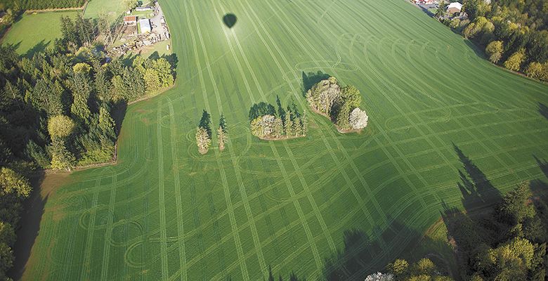 A shadow of the balloon and tractor tracks appear on the field below.##Photo by Bryan Rupp