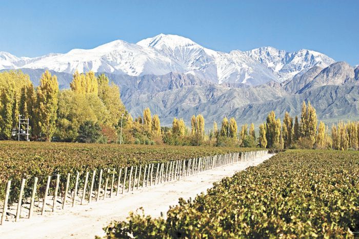 Las Compuertas is a wine-producing region on the edge of the Andes foothills in Mendoza. Its location at the opening of the Mendoza River makes it one of the cooler growing areas in Argentina. Soft, lush reds are produced here from old Malbec vineyards, some up to a century old.