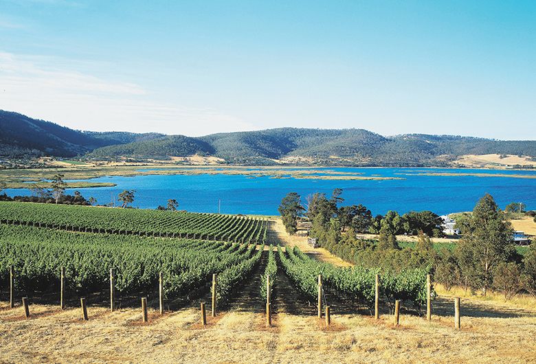 Derwent Estate vineyards plantings extend to the Derwent River. ##Photo credit: Tourism Tasmania & Peter Morse, Wildfish
