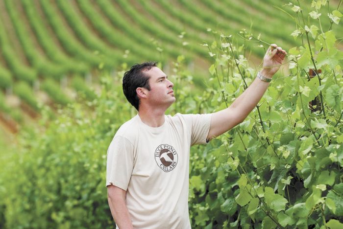 Winemaker Mark Chargin checks vines at one of the winery’s many vineyards. Photo provided.