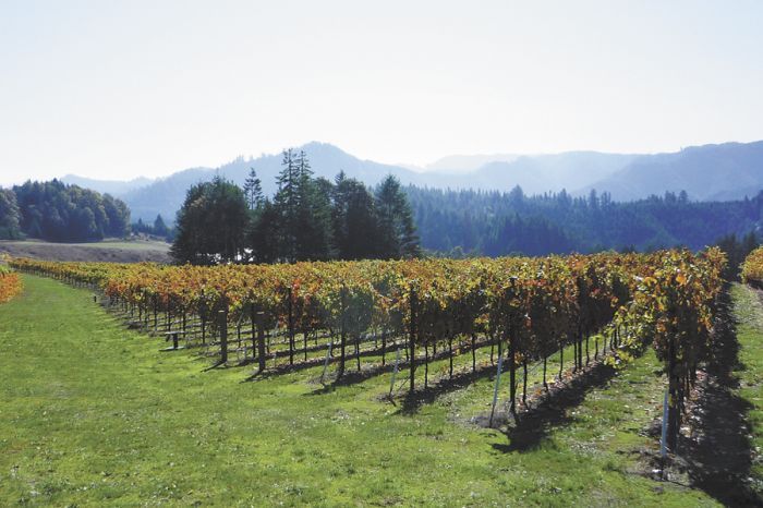 Brandborg Vineyards is one of several wineries that can now use Elkton Oregon, the state’s newest AVA, to market their wines.