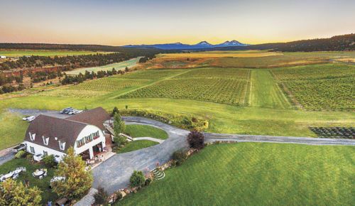 Faith, Hope and Charity Vineyards in Terrebonne offers exceptional views of Mount Bachelor, Broken Top and the Three Sisters. ##Photo by Senneh O Reilly Heirloom Images Photography