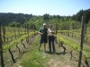 This recent photo shows how much the vineyard has matured over the last 20 years.  
