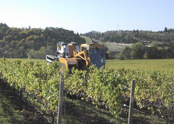 Ken Johnston’s mechanical harvester picks fruit at an eastern Willamette Valley vineyard. Photo provided by Winemakers Investment Properties.