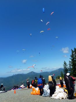 Participants in last year&rsquo;s paragliding competition get ready to launch off Woodrat Mountain, only two miles from Fiasco Winery, near Jacksonville.