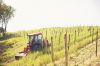 Omero&rsquo;s David Moore works in the estate vineyard located on Ribbon Ridge.