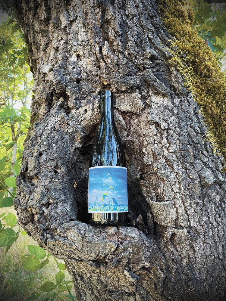 A bottle of Johan Vineyard’s new Savagnin wine nestled within a tree on the property. ##Photo Provided by Johan Vineyards