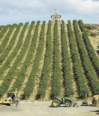 Lady Hill sources fruit from Washington vineyards such as Red Willow, located in the far western end of Yakima Valley AVA. In homage to the many chapel vineyards in France, Red Willow owners, the Sauer family, built the Monsignor Chapel on a hillside planted mostly to Syrah. ##Photo provided
