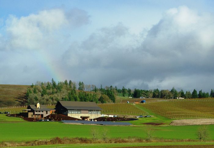Solena Estates and Grand Cru Estates is located just east of Yamhill.