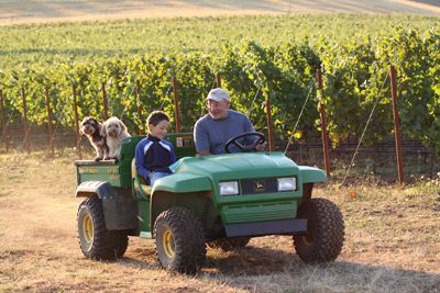 Soter, his son, Austin, and family dogs Buster and Biscuit take a ride around their Mineral Springs Estate Vineyard. Photo by Andrea Johnson.