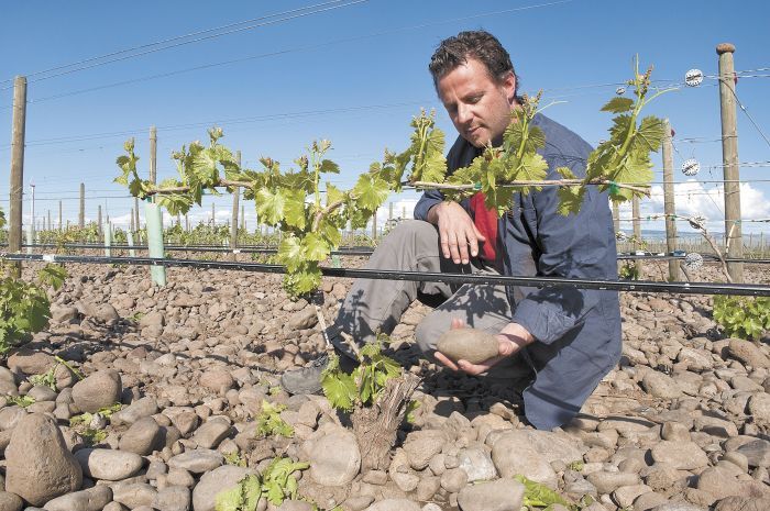 Winemaker Christophe Baron of Cayuse holds a rock in his stony vineyard.