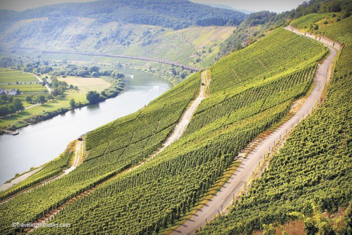 The Mosel Valley’s steep hillsides are covered in Riesling vines. Photo by www.travelingcanucks.com